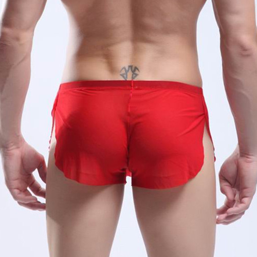 New Arrival See-through Comfortable Mesh Boxers