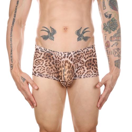 Men Sexy Transparent Leopard Mesh Boxers Briefs