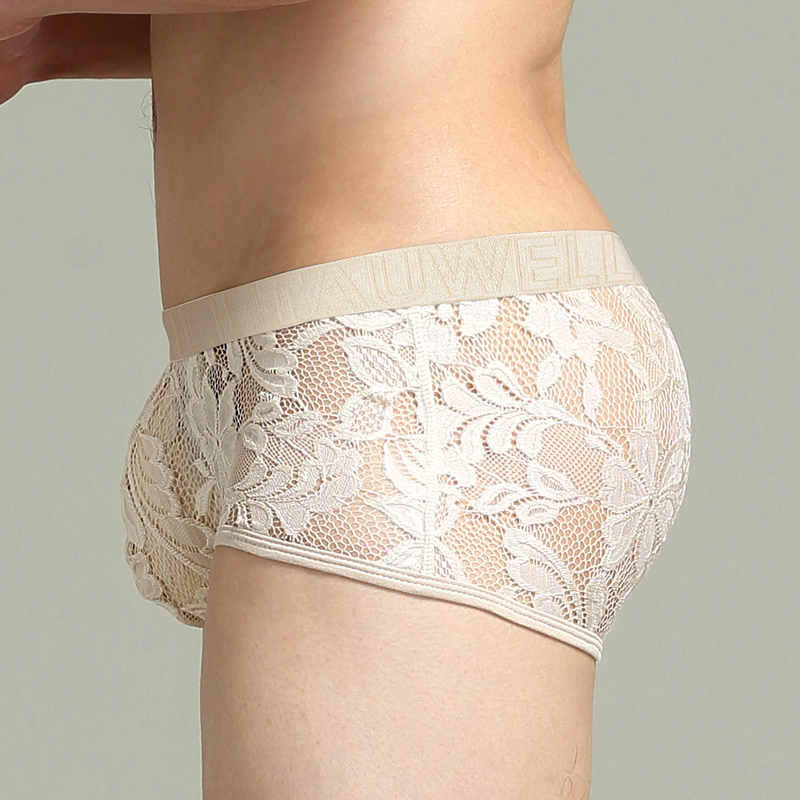 (image for) Sexy Men's See-through Lace Boxers Briefs