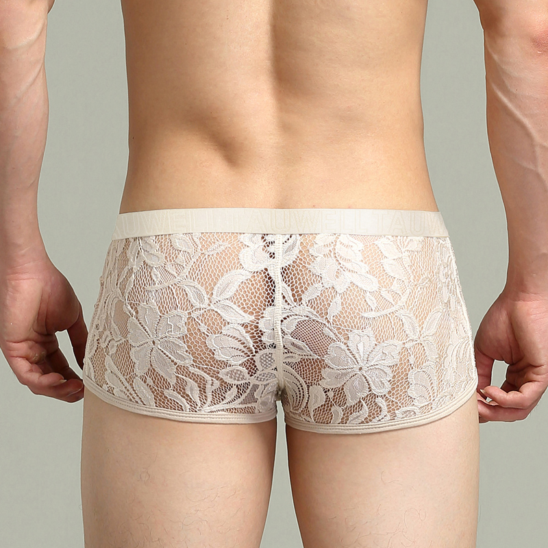 (image for) Sexy Men's See-through Lace Boxers Briefs
