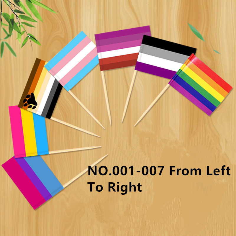 D704 Pride Toothpick Flag-100pcs