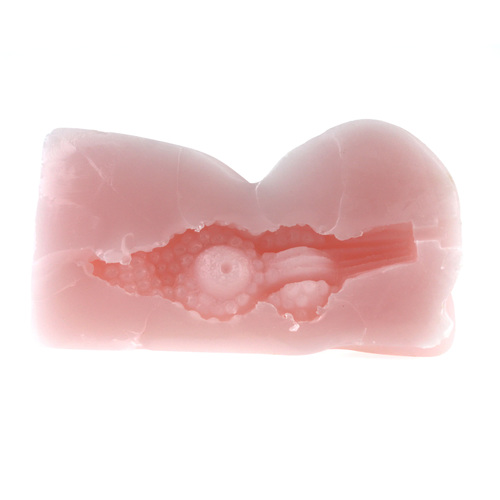 (image for) Pussy Pocket Pal - 18 Age