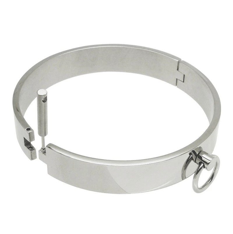 (image for) Heavy Duty Collar