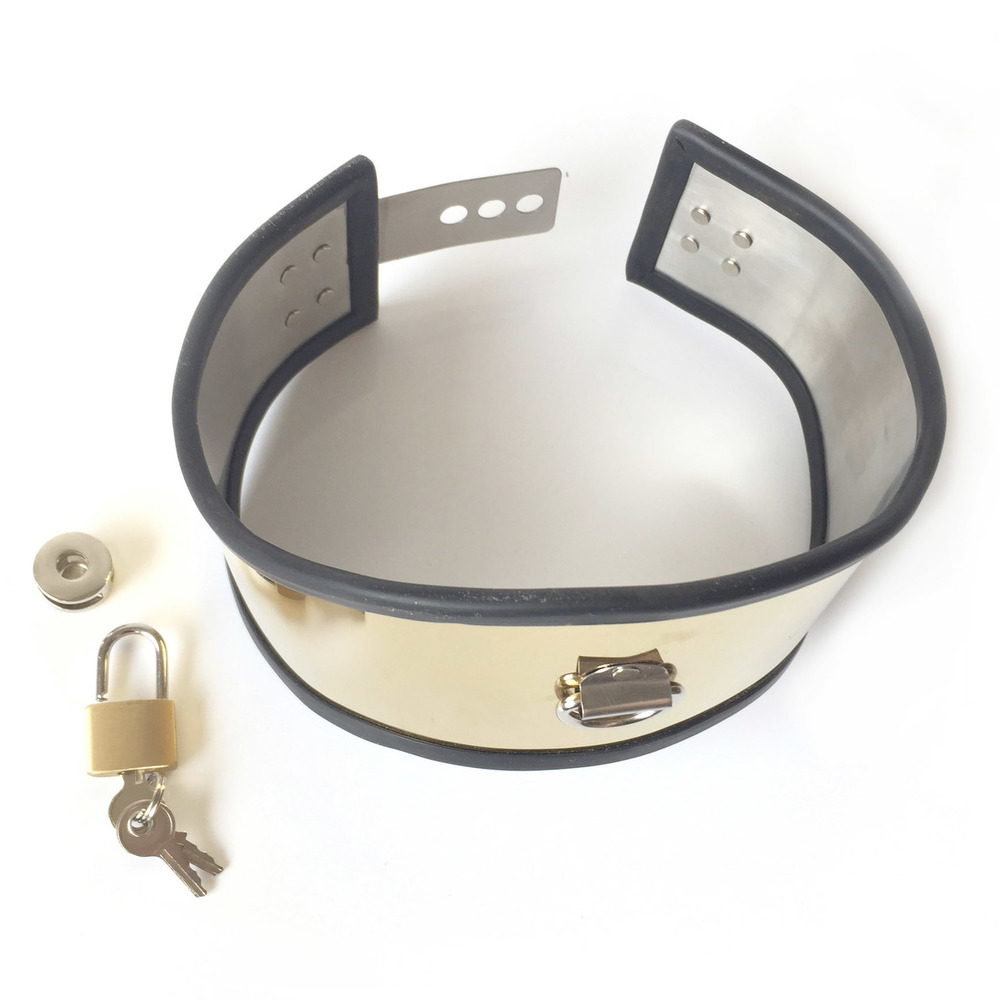 (image for) Posture Adjustable Stainless Steel Collar