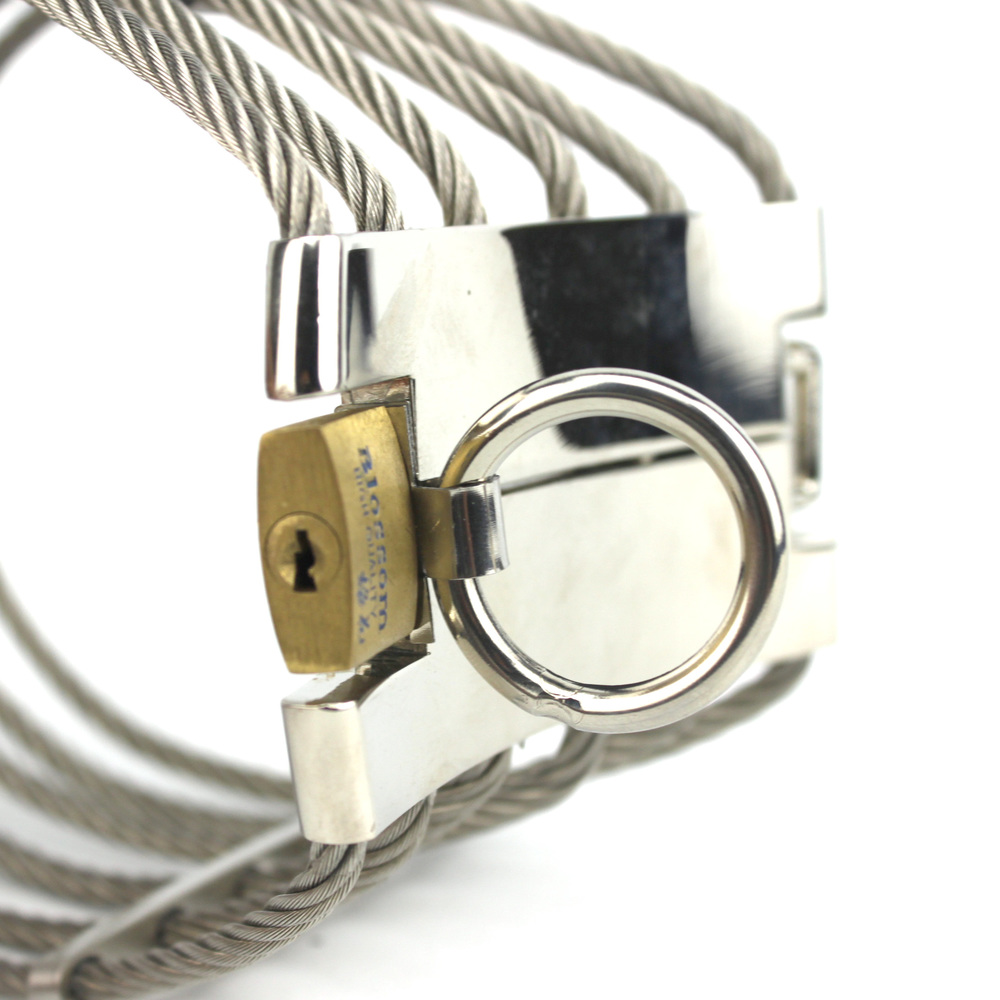 (image for) Steel Wire Neck Collars For Male And Female