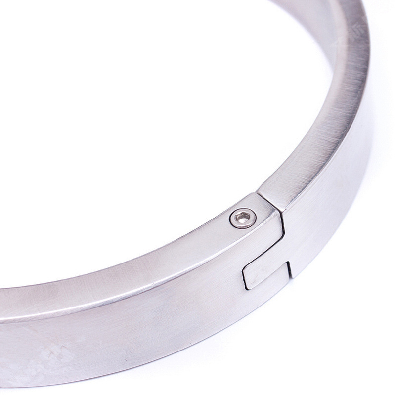 (image for) Chrome Slave Collar With Japanese Clover Clamps