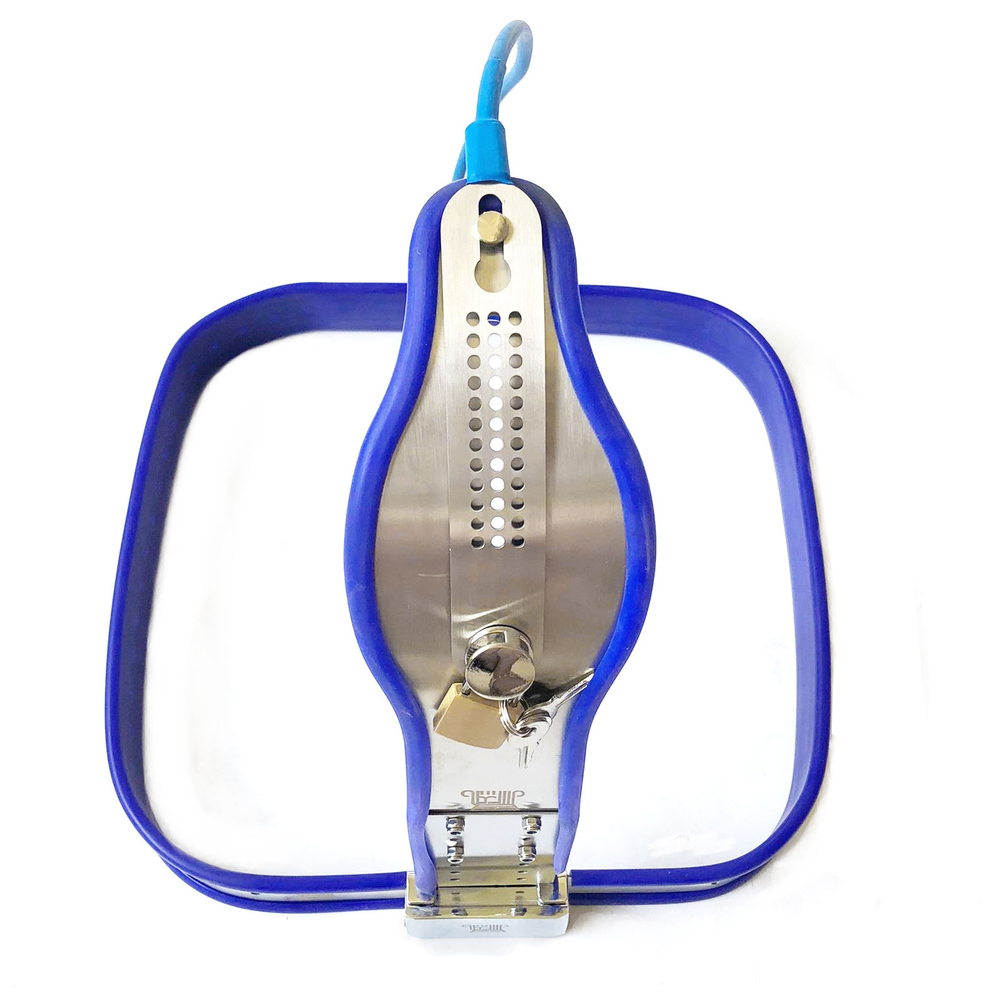 (image for) Curve-T Premium Female Chastity Belt with Locking Cover