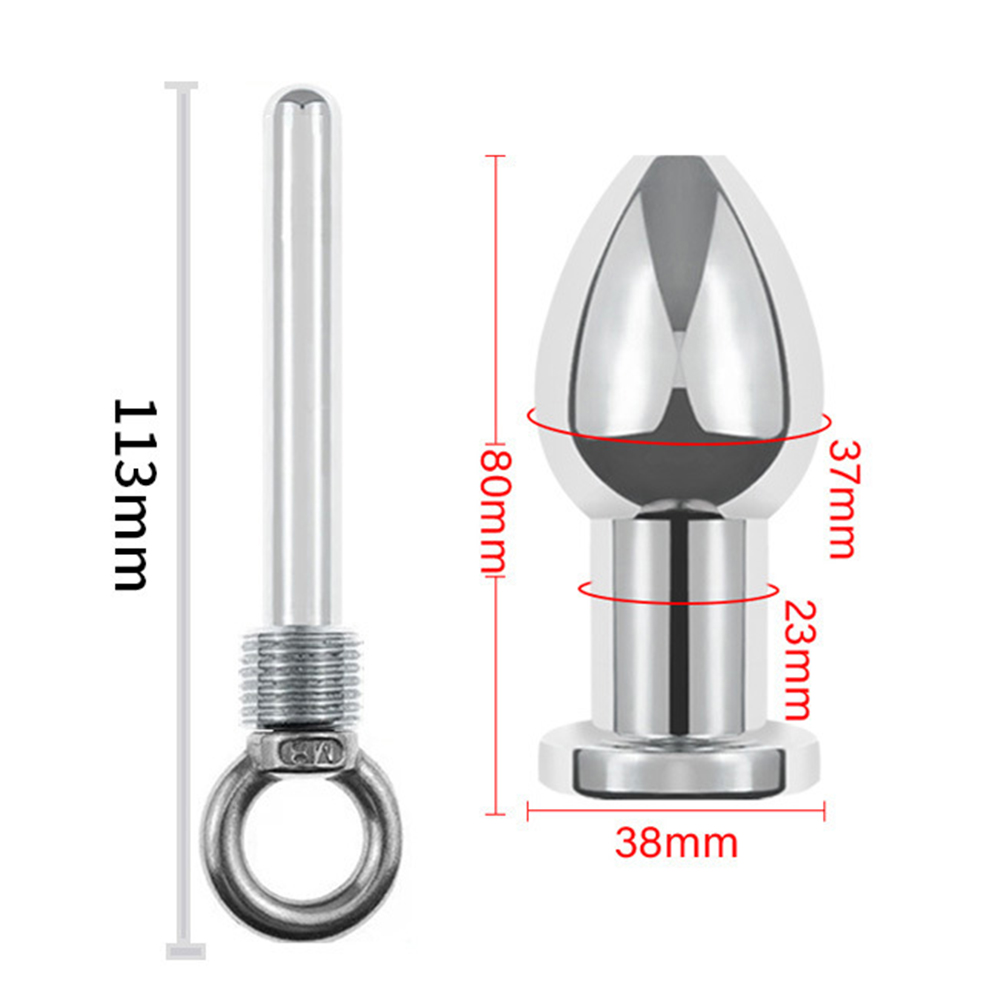 (image for) Silver Tunnel Plug with Removable Core