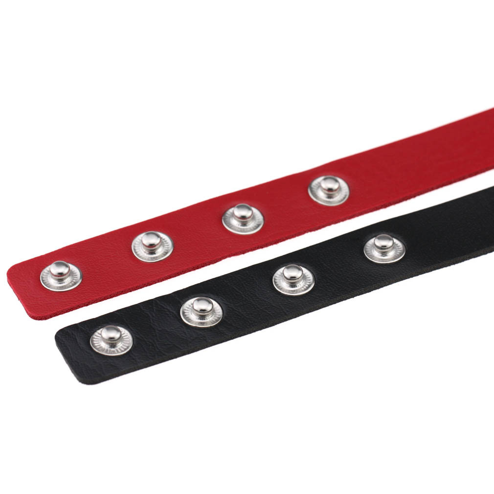 (image for) Metal Heart Collar - 4 Snap