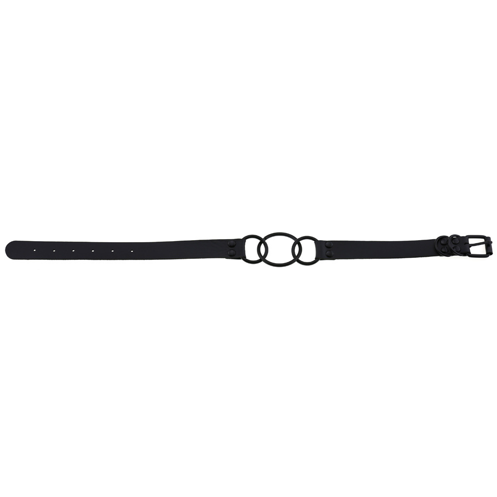 (image for) Metal 3 Ring Clavicle Collar