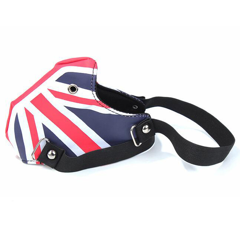 (image for) British Locomotive Mask