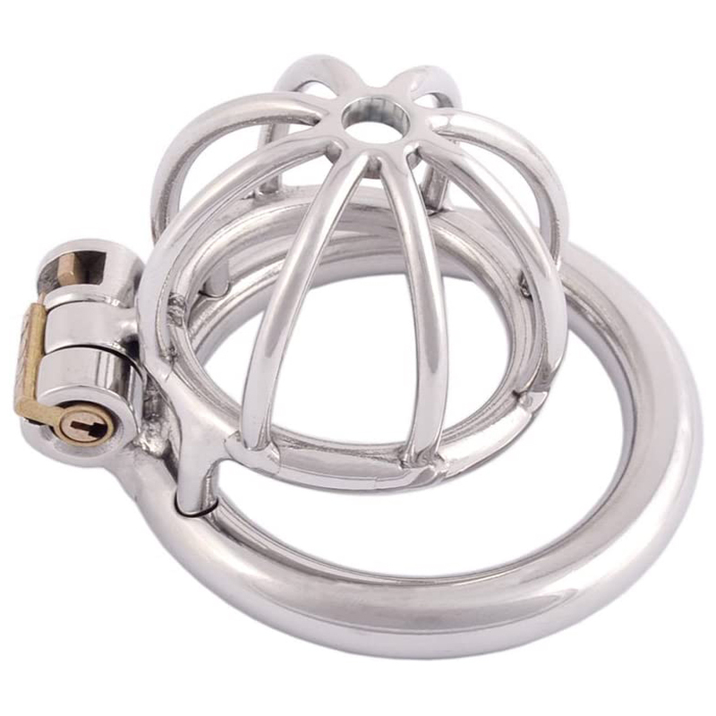 (image for) The Pen Deluxe Stainless Steel Locking Chastity Cage