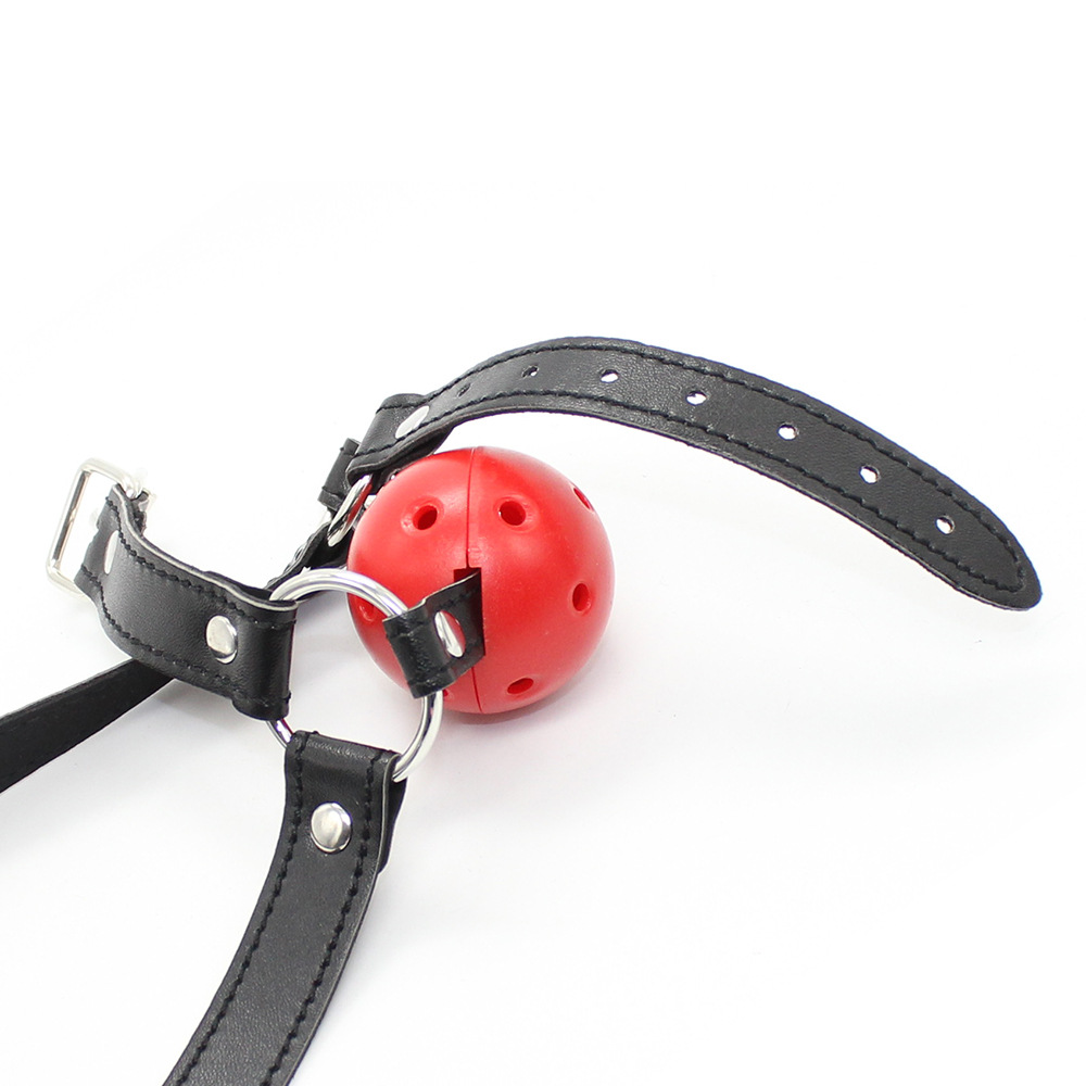 (image for) Harness Breatheable Ball Gag