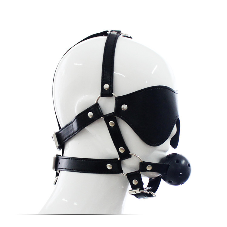 (image for) Harness Ball Gag With Blinder