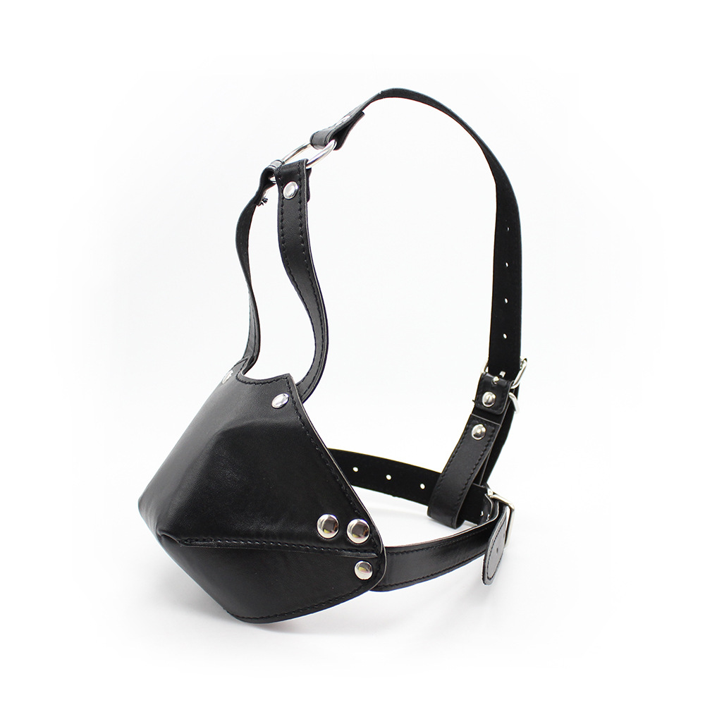 (image for) Leather Harness With Rubber Gag