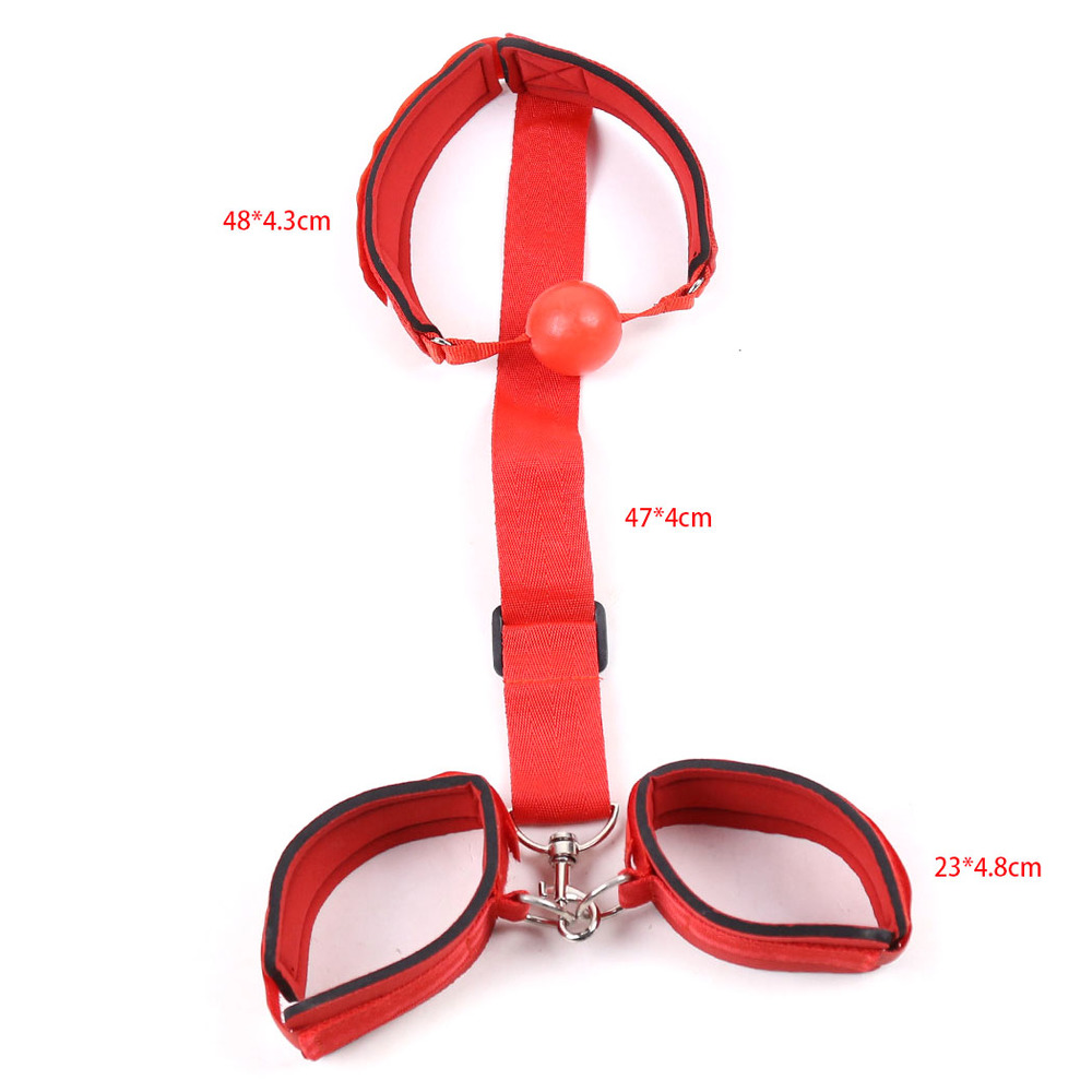 (image for) Ball Gag and Wrist Restraint System
