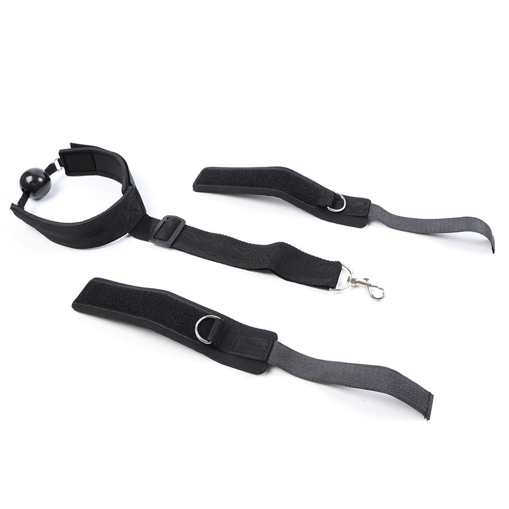 (image for) Ball Gag and Wrist Restraint System
