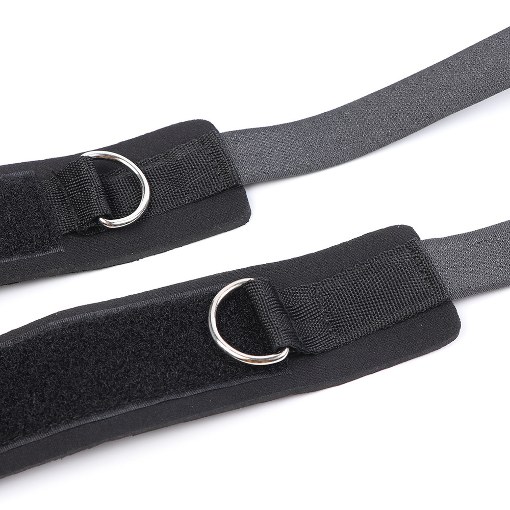 (image for) Ball Gag and Wrist Restraint System