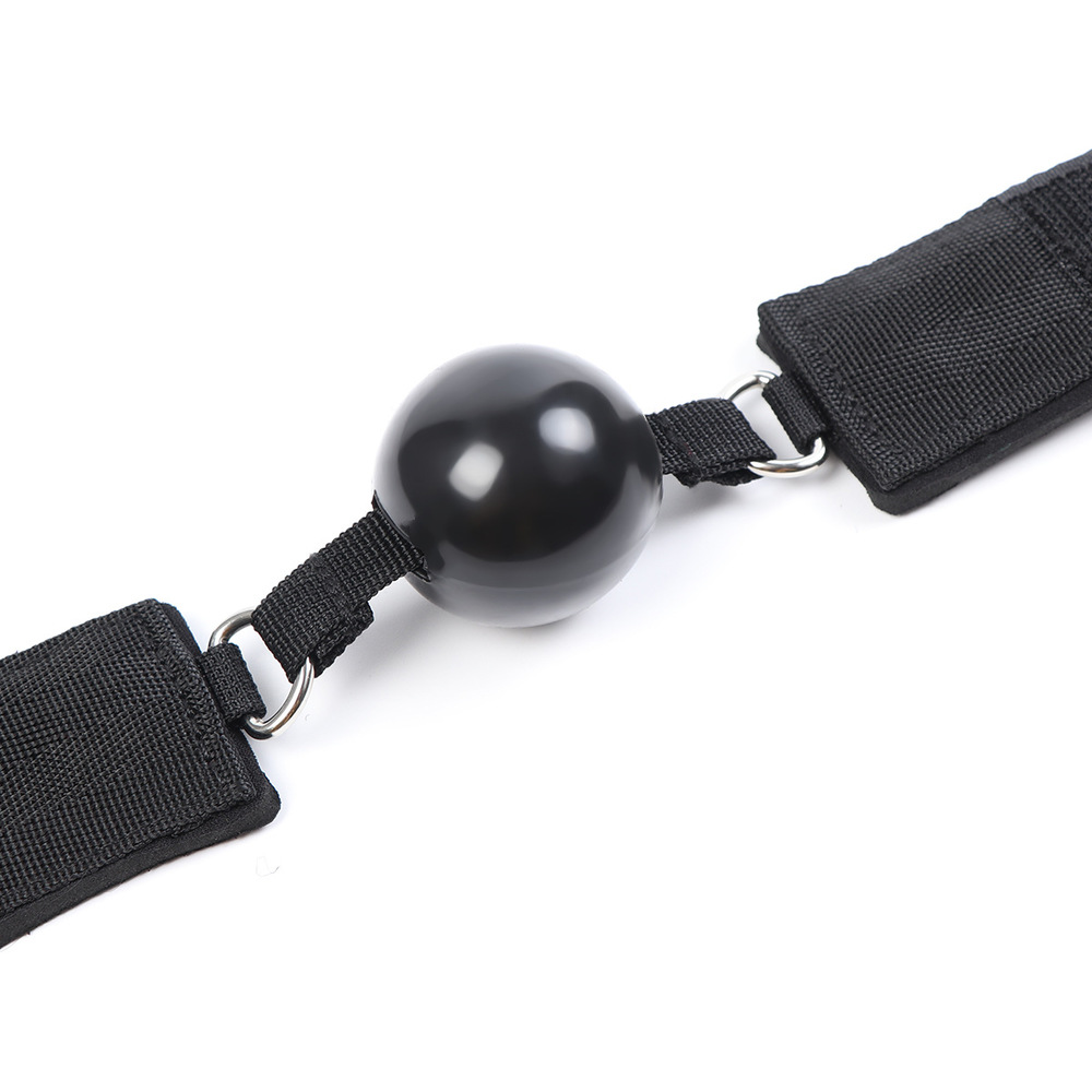 (image for) Ball Gag and Wrist Restraint System