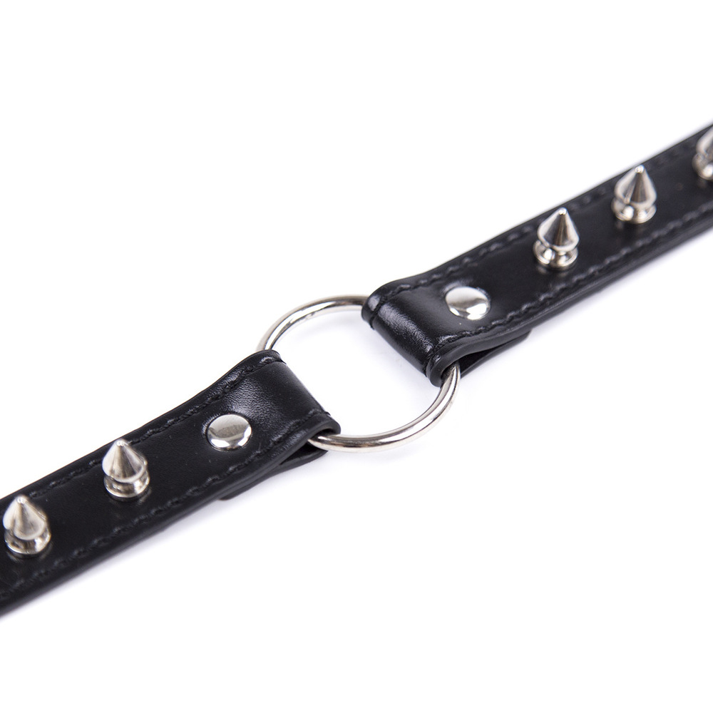 (image for) Spike Strap Metal O Ring Collar