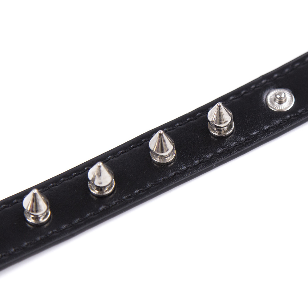 (image for) Spike Strap Metal O Ring Collar