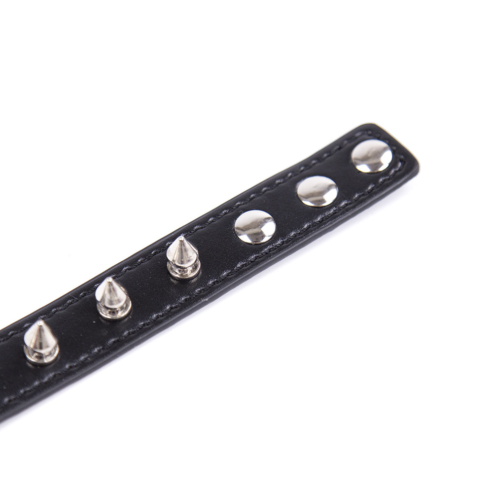 (image for) Spike Strap Metal O Ring Collar