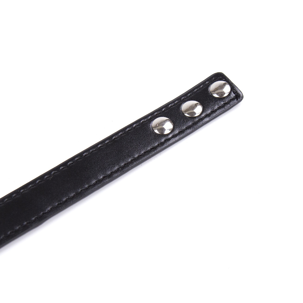 (image for) O-ring Adjustable Leather Choker