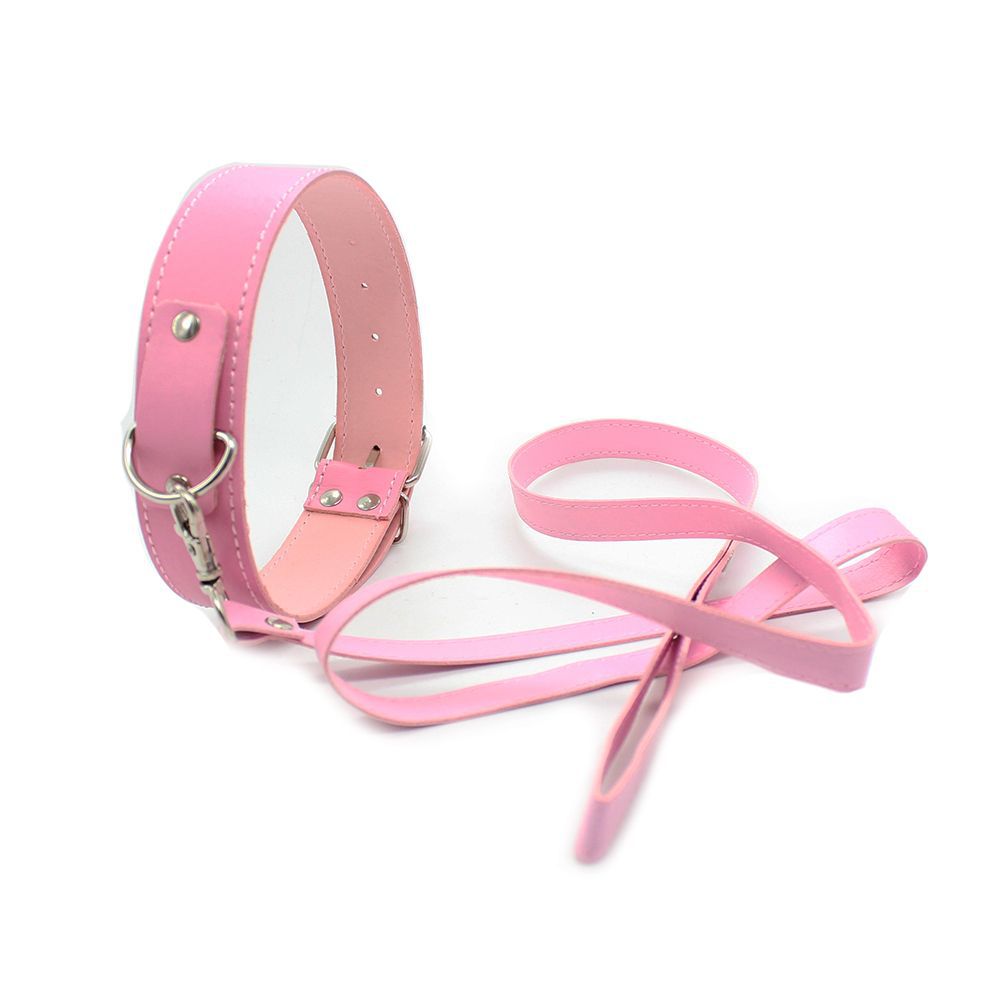 (image for) Fur Lined Collar with Leash