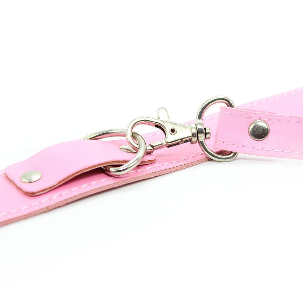 (image for) Fur Lined Collar with Leash