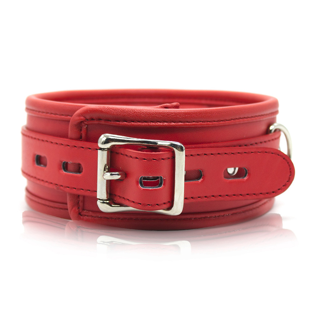 (image for) Thick D Ring Neck Collar