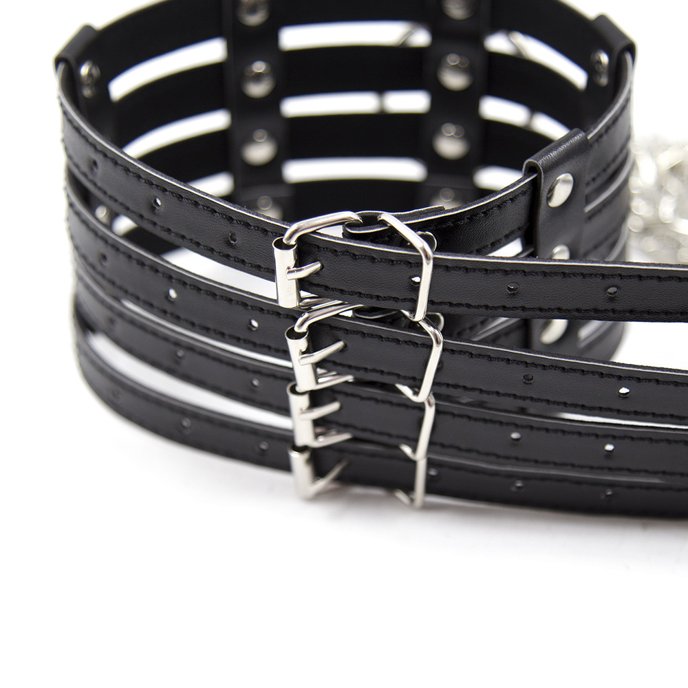 (image for) 2 O-Ring 4 Strip 4 Buckle Collar