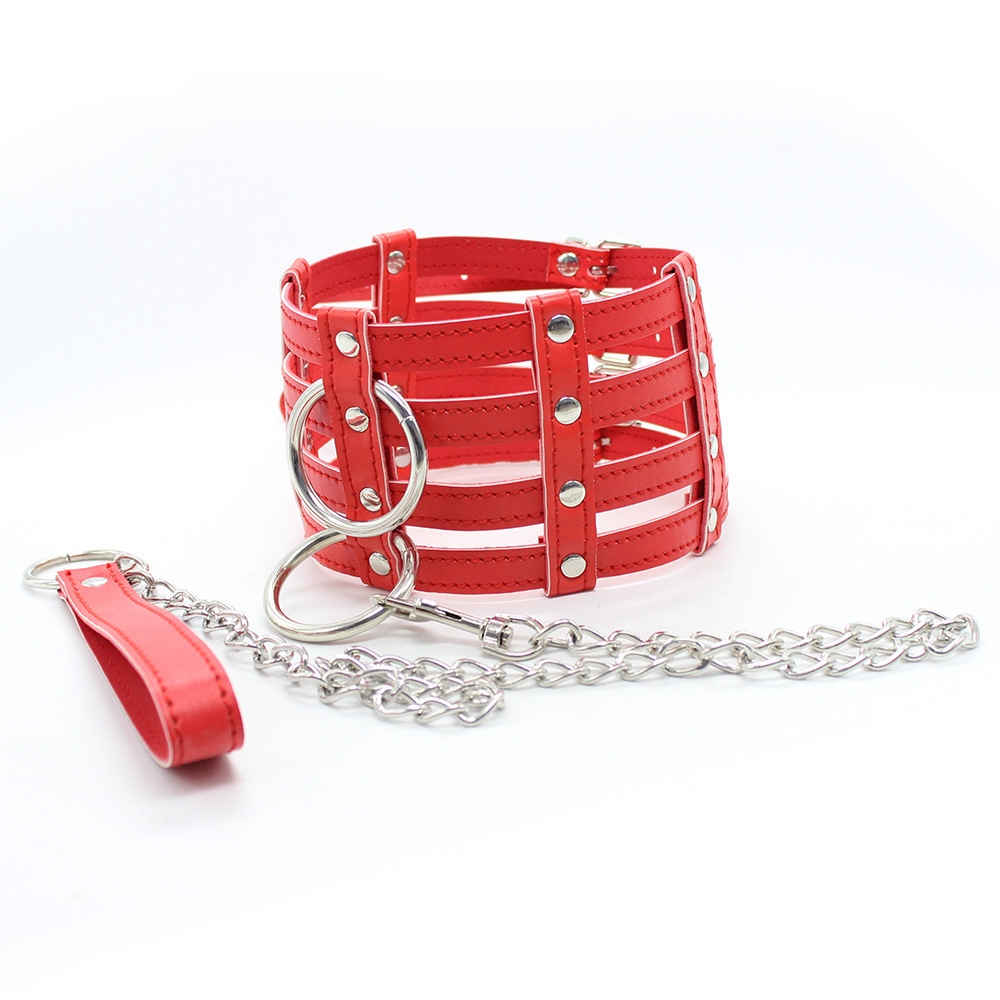 (image for) 2 O-Ring 4 Strip 4 Buckle Collar