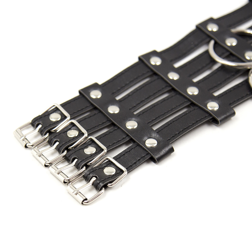 (image for) 2 O-Ring 4 Strip 4 Buckle Collar