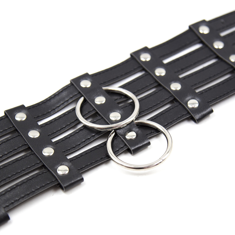 (image for) 2 O-Ring 4 Strip 4 Buckle Collar