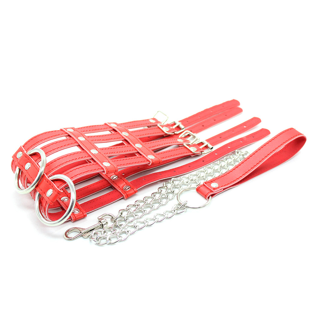 (image for) 2 O-Ring 4 Strip 4 Buckle Collar