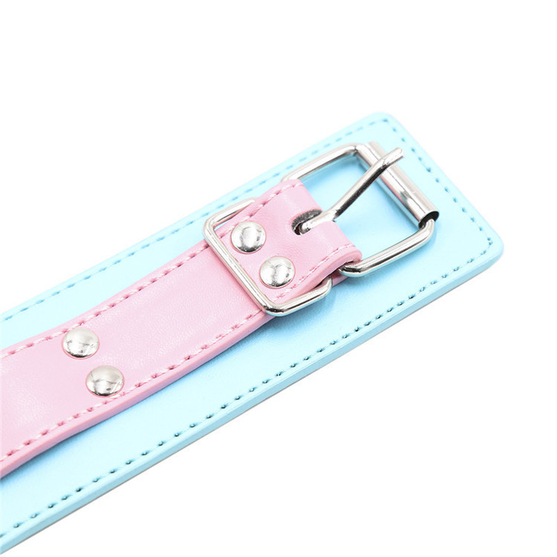 (image for) Blue & Pink Collars with Lead