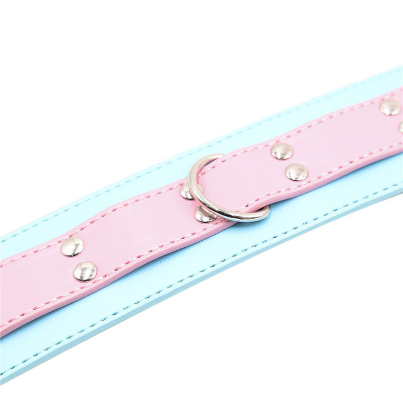 (image for) Blue & Pink Collars with Lead
