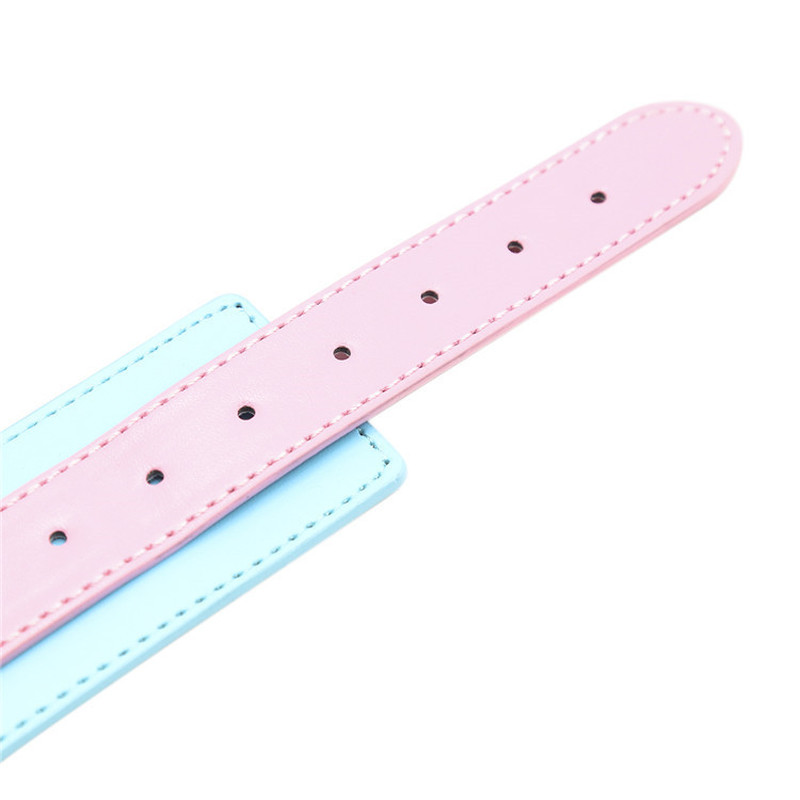 (image for) Blue & Pink Collars with Lead