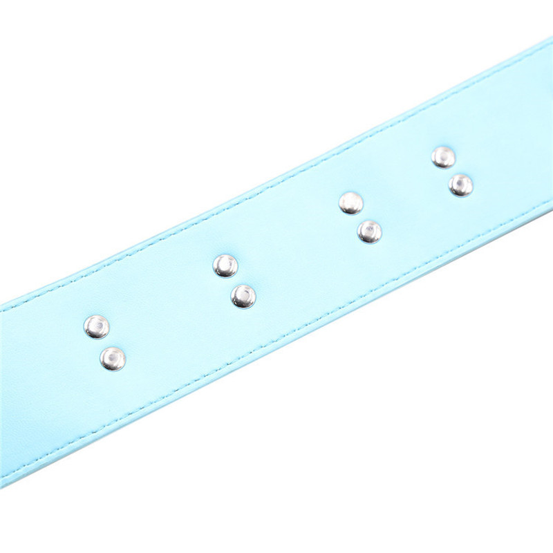 (image for) Blue & Pink Collars with Lead