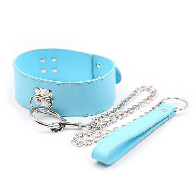 (image for) D Ring Pin Lock Collar With Lead