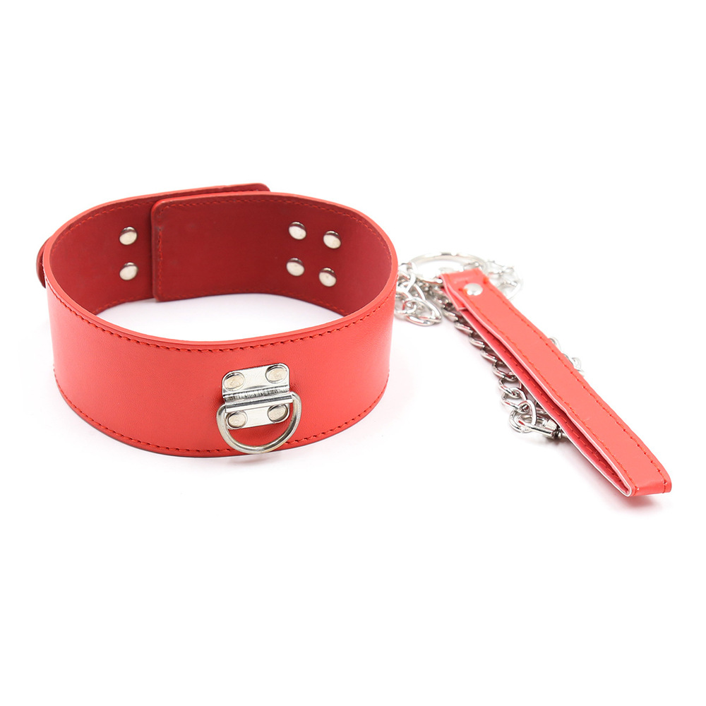 (image for) D Ring Pin Lock Collar With Lead