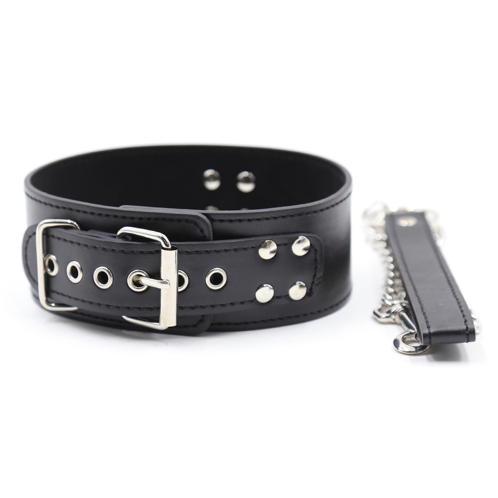 (image for) D Ring Pin Lock Collar With Lead