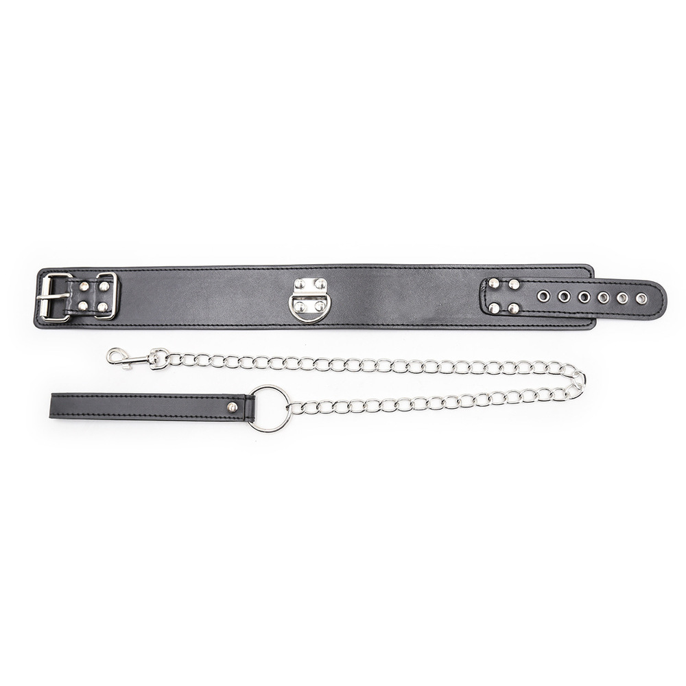 (image for) D Ring Pin Lock Collar With Lead
