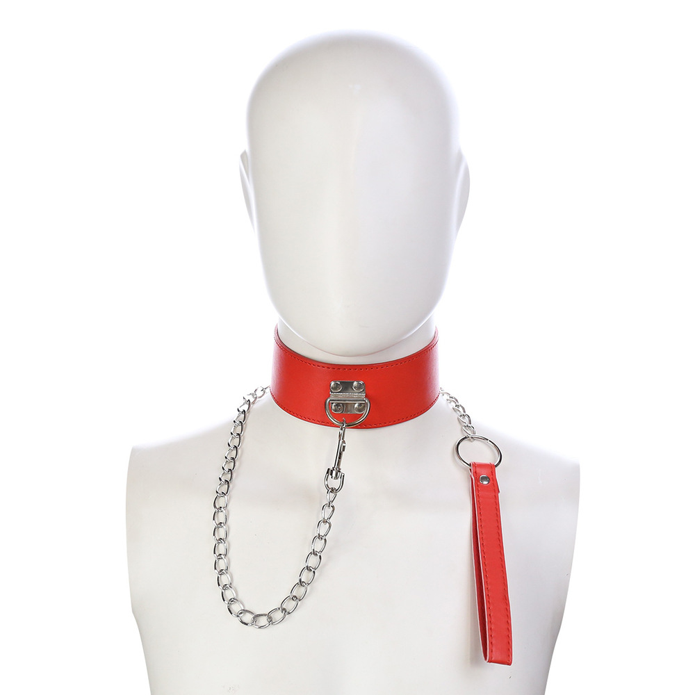 (image for) D Ring Pin Lock Collar With Lead