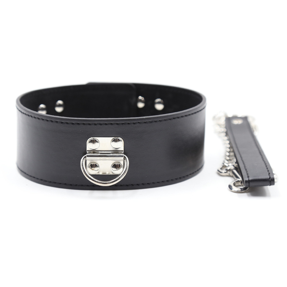 (image for) D Ring Pin Lock Collar With Lead