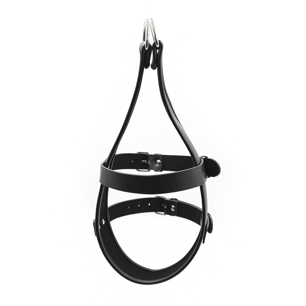 (image for) Head Immobilization Harness