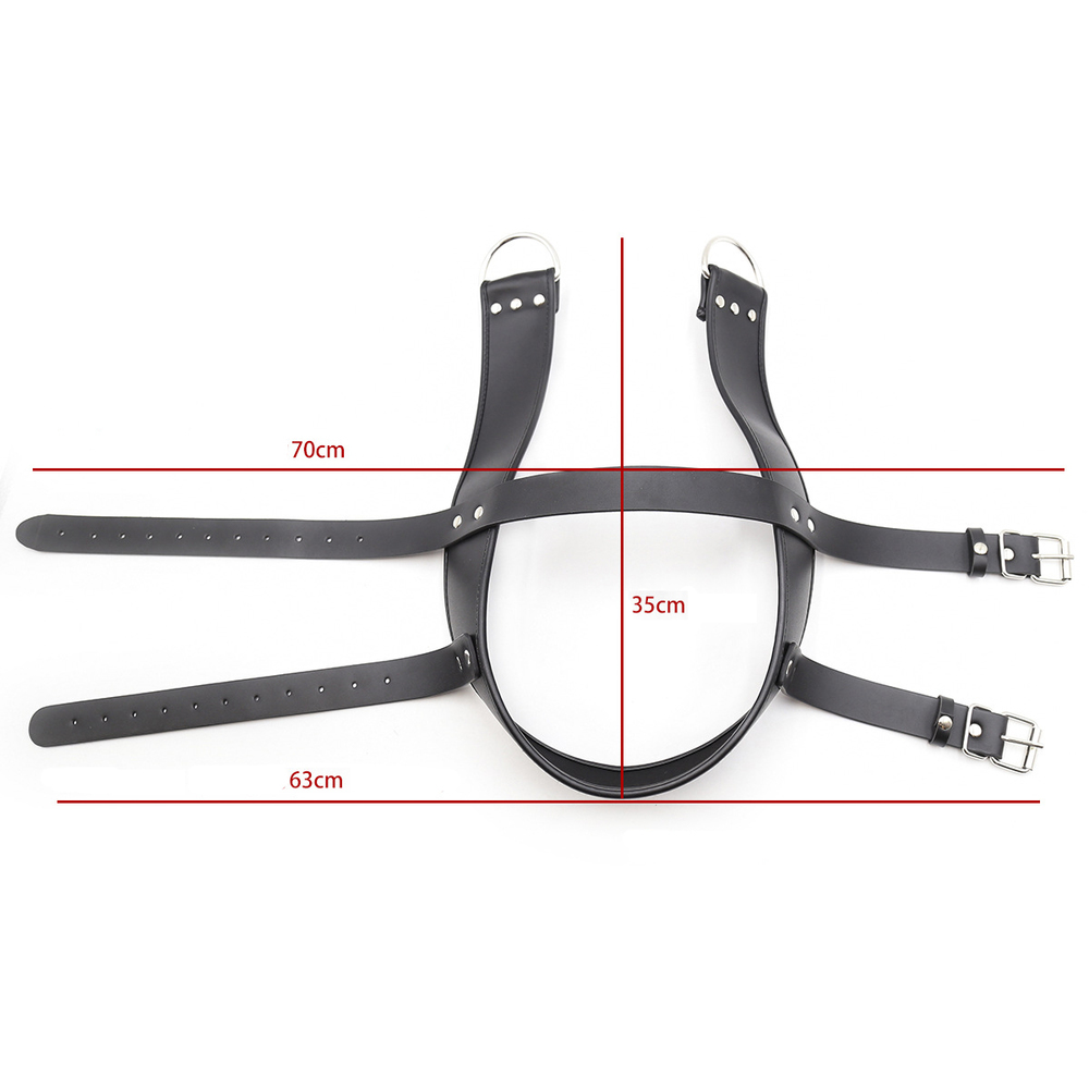 (image for) Head Immobilization Harness