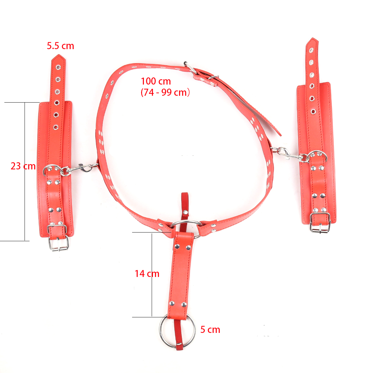 (image for) Chastity Belts Bondage Bulge Mention Ring