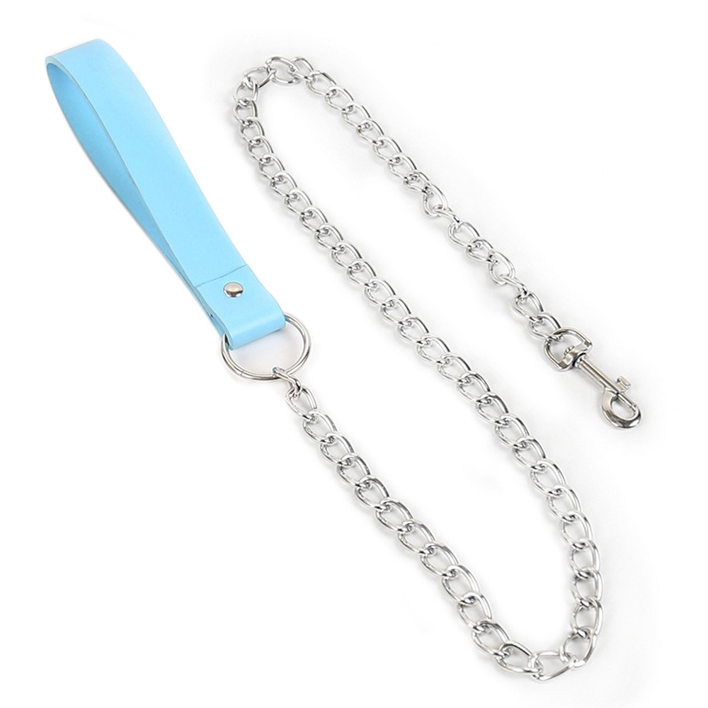 (image for) Regulation Chain Leash