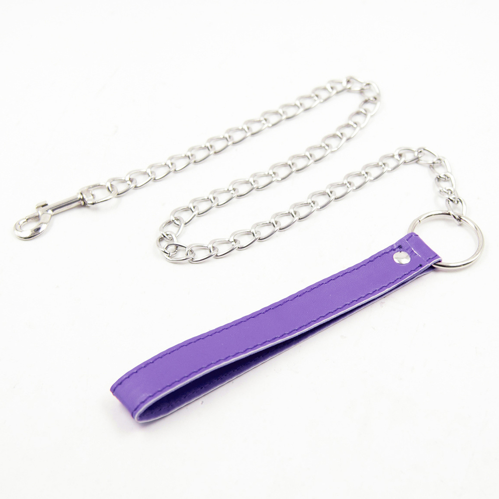(image for) Regulation Chain Leash